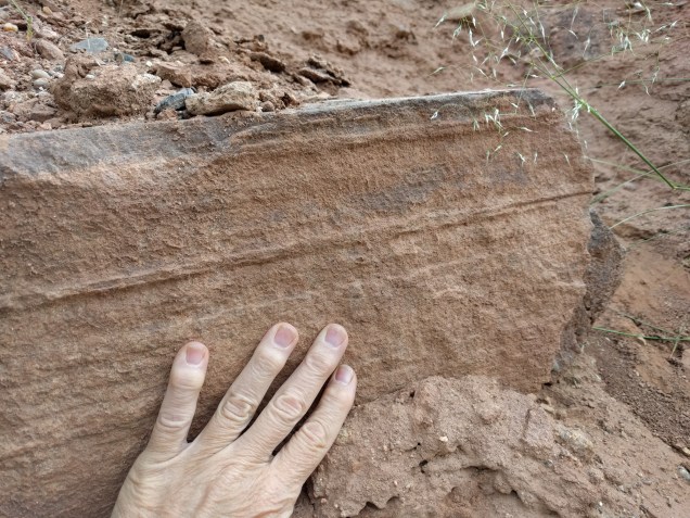 IMG_20160516_123959 (1)