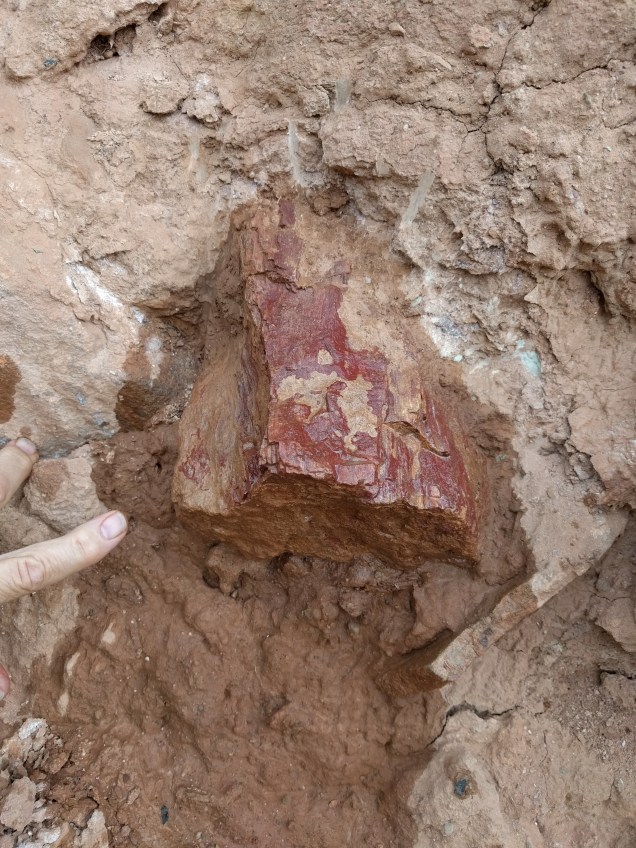 IMG_20160516_124341 (1)