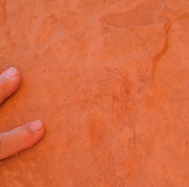 IMG_20170706_VoF Dino