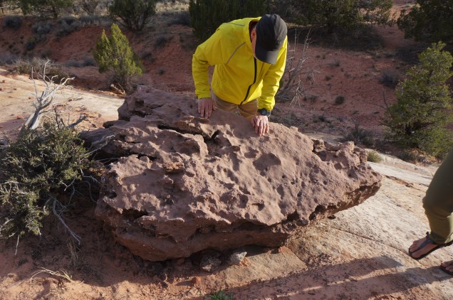 2018 - Geo Tour (438) Coral Pink Sand Dunes